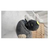 Lot of two Duck Decoys as Shown