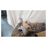 Lot of Turkey Decoys
