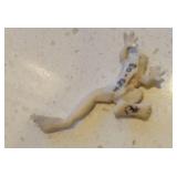 Asian Signed Carved Tree Frog Netsuke Button