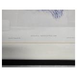 Fine Art Avian Print Pair - Eugenia Imperatrix - Glaucis Lanceolata