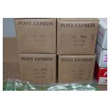 Empty .38 Spl Casings