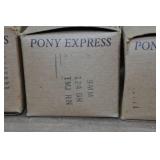 Empty 9mm Luger Casings