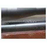 Beeman GT650 Pellet Rifle with 4x32 Scope