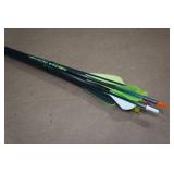 *10* Cabelas Carbon Arrows