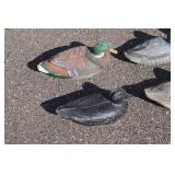 Assorted Duck Decoys