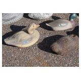 Assorted Duck Decoys