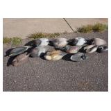 Assorted Duck Decoys