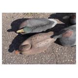 Assorted Duck Decoys