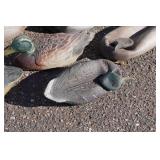 Assorted Duck Decoys