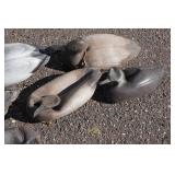 Assorted Duck Decoys