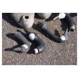 Goose Decoys