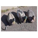 Duck Decoys