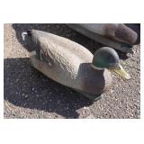 Duck Decoys