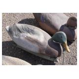 Duck Decoys