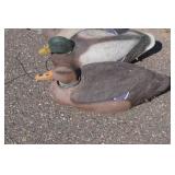 Duck Decoys