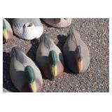 Duck Decoys