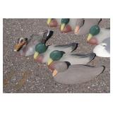 Duck Decoys