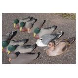 Duck Decoys