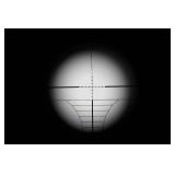 Remington 783 .300 Win Mag Bolt-Action Rifle - 6-24 x 50 AOEG Scope