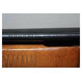 Coast to Coast Master Mag CC660 .410 Bore Pump-Action Shotgun