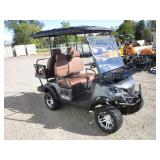 SDLANCH 4 Seat 60v Electric Golf Cart