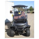 SDLANCH 4 Seat 60v Electric Golf Cart