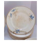 Early 1900s Vintage Knowles Taylor KT&K Bluebird China Set