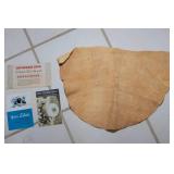 Vintage Rogers Bros Silverplate Flatware Set – “Daffodil” Pattern, Service for 8 with Case (#2)