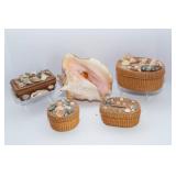 Collection of Shell Baskets and Seashells