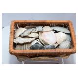 Collection of Shell Baskets and Seashells