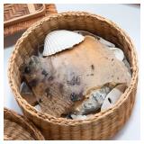 Collection of Shell Baskets and Seashells