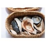 Collection of Shell Baskets and Seashells