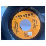 MCM Record Holder for 45s Plastic w/Records