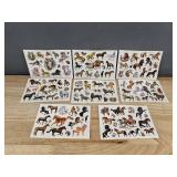 8 Sheets of Horse Temporary Tattoos - Brand New