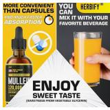 Herbify Mullein Drops 4 oz, Immune & Lung Support Supplement $36 Retail - Brand New