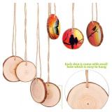 30 Piece Wood Slices Ornament Set with Twine for DIY Crafts and Holiday Decor - Brand New