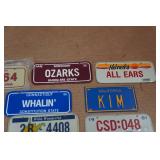Assorted Mini License Plates