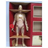 Vintage RENWAL "Visible" Man w/Original Box