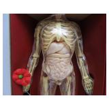 Vintage RENWAL "Visible" Man w/Original Box