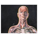 Vintage RENWAL "Visible" Man w/Original Box