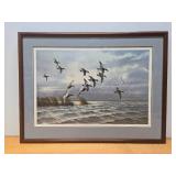 Framed Signed Numbered DAVID MAASS Wildlife Print w/Ducks - "Windswept Canvasbacks"