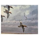Framed Signed Numbered DAVID MAASS Wildlife Print w/Ducks - "Windswept Canvasbacks"