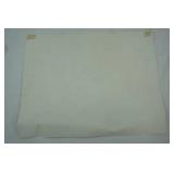 20"x 16" Vintage Pheasant Print Poster by August Holland