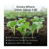 NEW Hit List Purple Top Turnips Seed for 1 Acre Seed Plot Coverage - 6 lb Bag