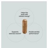 NEW Shroom Tech® Sport - Daily Exercise Support - 84 Capsules