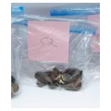 1950–1954 Pennies – Coin Collector Alert!