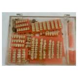 Dental Prosthetic Tooth Set Collection with Storage Box