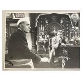 Lot of 14 Vintage 1950s Movie Lobby Photos - I