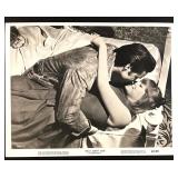Collection of 5 Elvis Presley Movie Lobby Cards and Stills