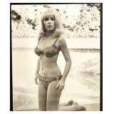 Collection of 5 Elvis Presley Movie Lobby Cards and Stills